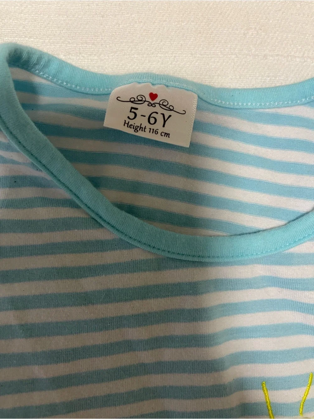 Girls' Light Blue Striped Horse Applique Long Sleeve Top